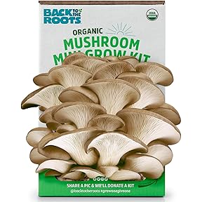 Back to the Roots Organic Mushroom Grow Kit Shiitake by Back to the Roots - American Made