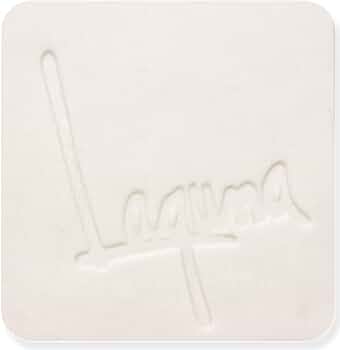Laguna Clay Frost Porcelain Clay 25 lb by Laguna Clay - American Made