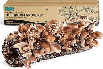 Back to the Roots Organic Mushroom Grow Kit with Shiitake by Back to the Roots - American Made
