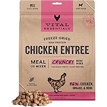 Vital Essentials Freeze-Dried Raw Dog Treats, Beef Liver by Vital Essentials - American Made