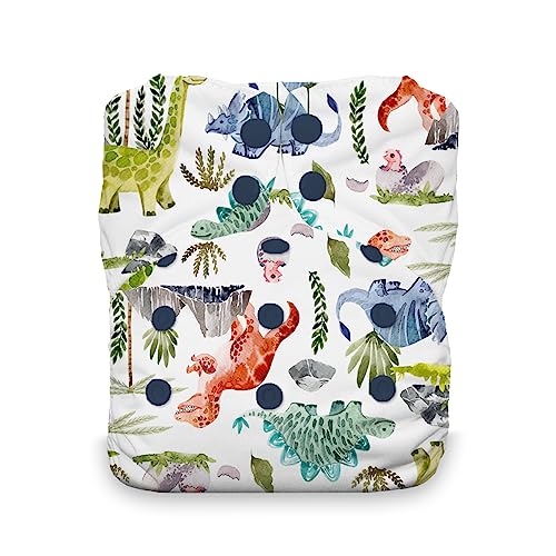 Thirsties Natural One Size All in One Reusable Cloth Diaper Dino-rawr Made in USA by Thirsties - American Made