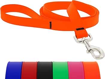 LupinePet Waterproof Splash Dog Leash, Neon Orange, 1" Wide, 6-Foot, BioThane by Lupine Pet - American Made