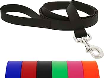 LupinePet Waterproof Splash Dog Leash, Jet Black, 1" Wide, 4-Foot, BioThane by Lupine Pet - American Made