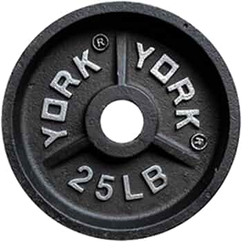 York Barbell 25 lb Deep Dish Olympic Weight Plate by York Barbell - American Made