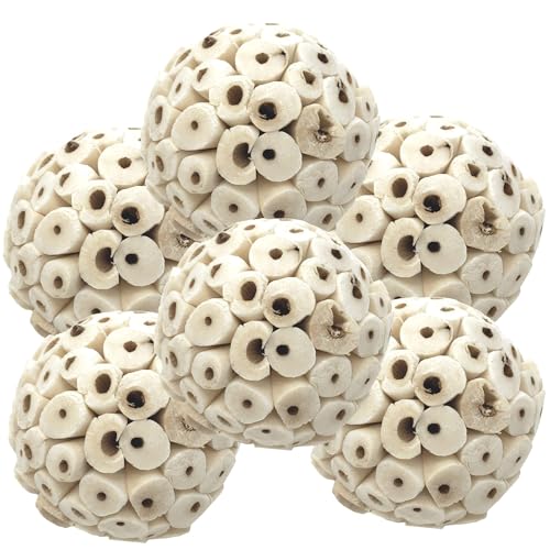Bonka Bird Toys 2117 Pk6 Sola Atta Balls Foot Talon Craft Part Parrot Bird Toys Conure Parakeet Cockatiel by Bonka Bird Toys - American Made