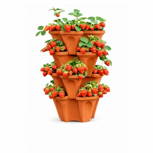 smart spring